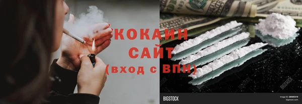 индика Снежинск