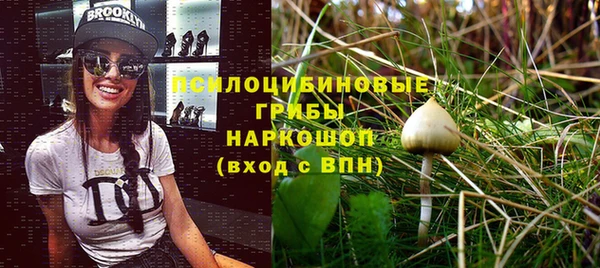 твердый Балахна