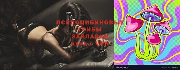 твердый Балахна