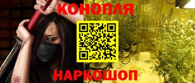 стафф Заводоуковск