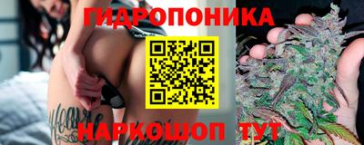 бошки Заволжье