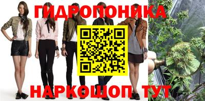 эйфоретик Жуковский