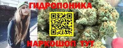 эйфоретик Жуковский