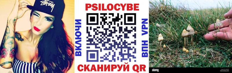 Галлюциногенные грибы GOLDEN TEACHER Бутурлиновка