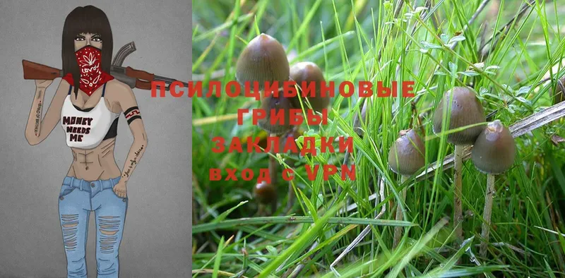 где купить наркоту  Бутурлиновка  Галлюциногенные грибы Psilocybe 