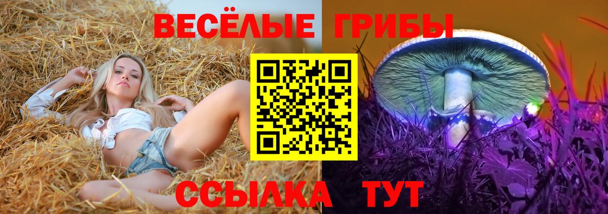 Галлюциногенные грибы ЛСД Бутурлиновка